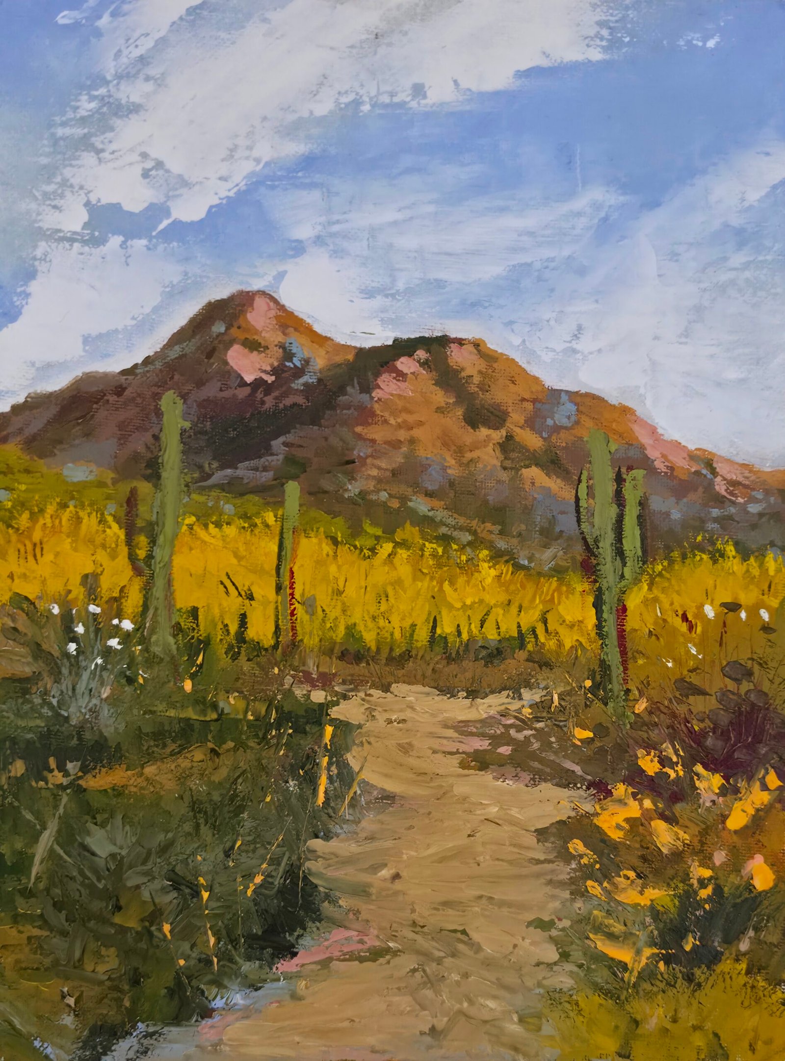 "Hidden Trail"